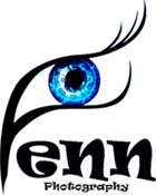 logo FENN